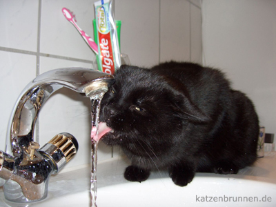 katzenbrunnen